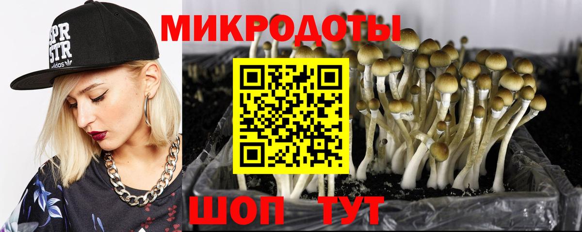 Галлюциногенные грибы мицелий  Вход с VPN  Острогожск 