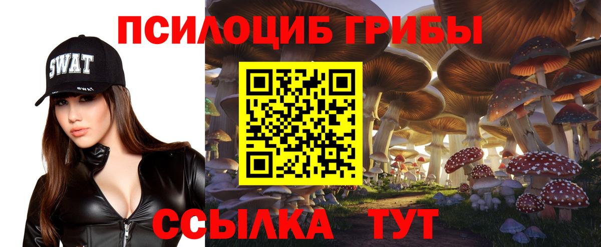 Псилоцибиновые грибы мицелий Острогожск